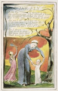 La Mouche: planche 41 de 